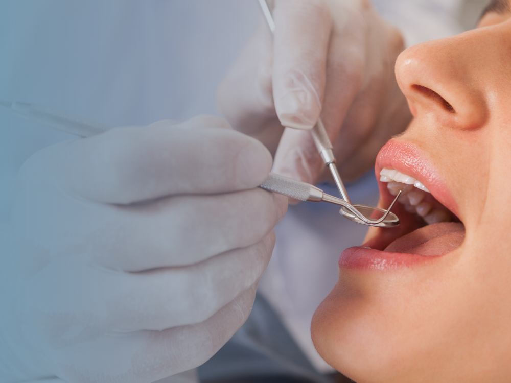 Dentysta Katowice